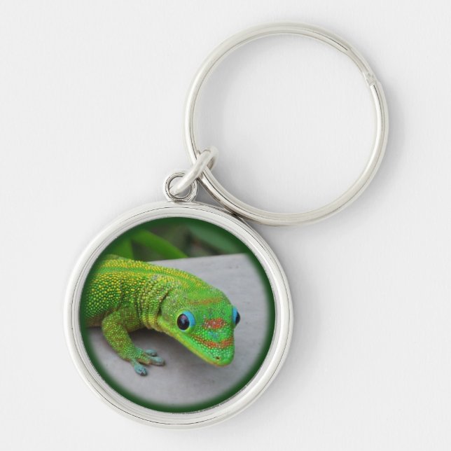 Gold Dust Day Gecko – Audition and Get Some Gecko Keychain (Front)