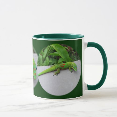 Gold Dust Day Gecko  Audition and Get Some Gecko Mug