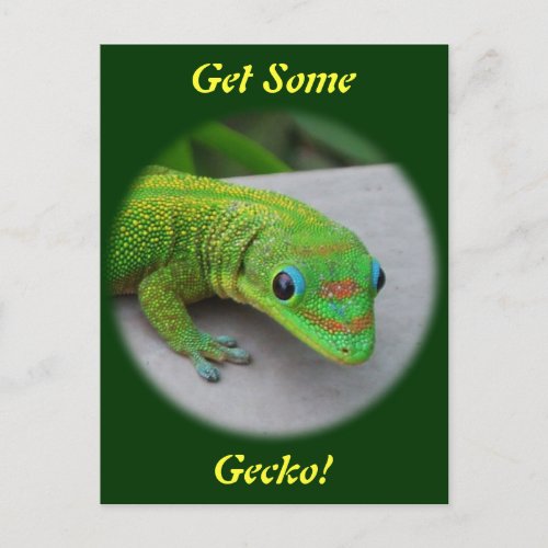 Gold Dust Day Gecko  Audition and Get Some Gecko Postcard