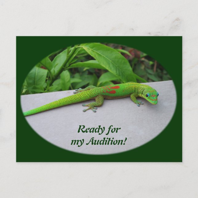Gold Dust Day Gecko – Audition and Get Some Gecko Postcard (Front)