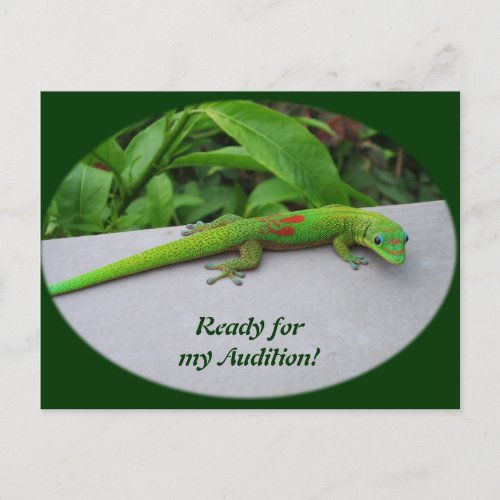 Gold Dust Day Gecko  Audition and Get Some Gecko Postcard