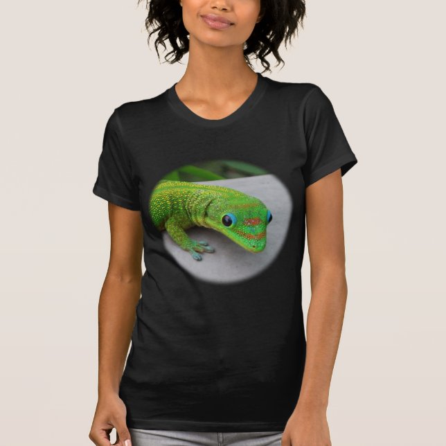 Gold Dust Day Gecko – Audition and Get Some Gecko T-Shirt (Front)