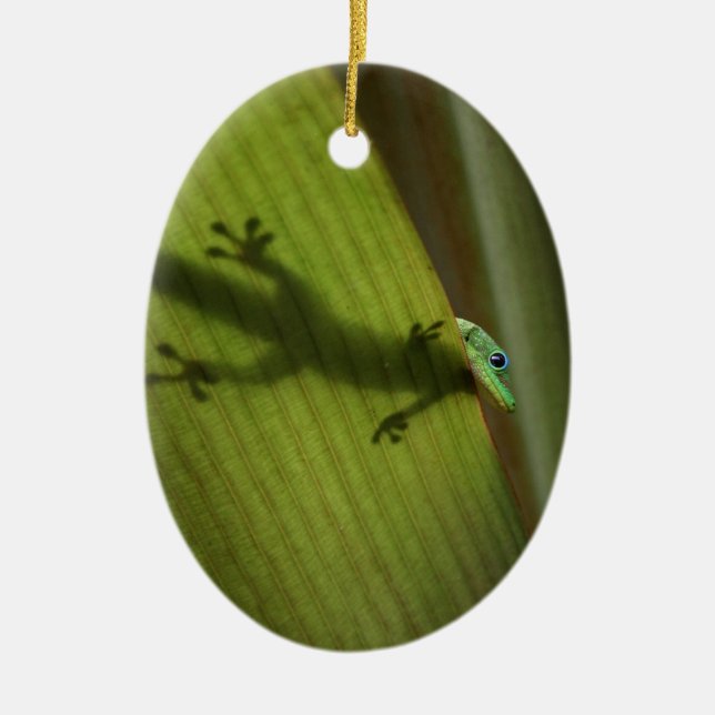 Gold Dust Day Gecko Ceramic Ornament (Front)