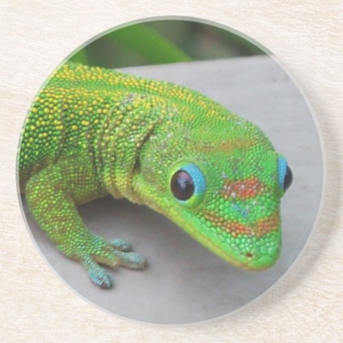 Gold Dust Day Gecko Coaster