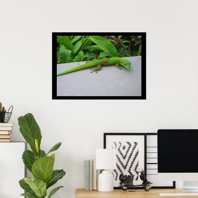 Gold Dust Day Gecko Poster (Home Office)