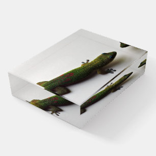 Gold dust Gecko Paperweight