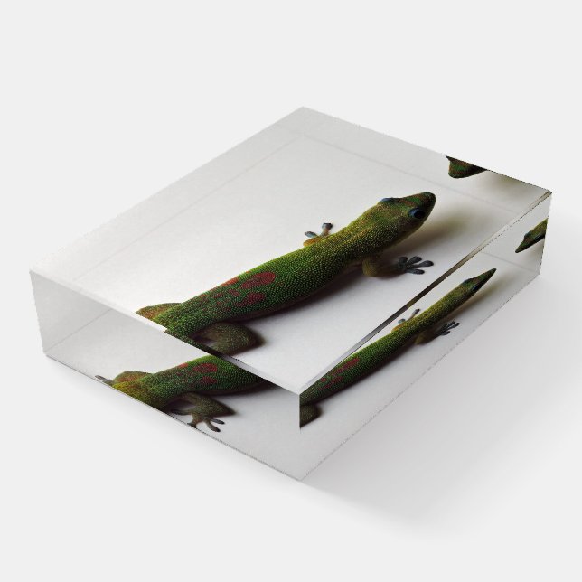 Gold dust Gecko Paperweight (Angled)