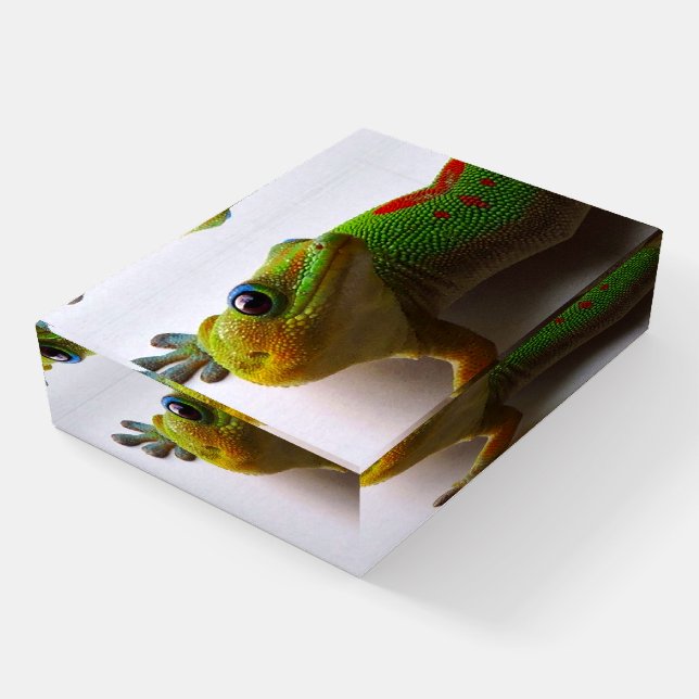 Gold dust Gecko Paperweight (Angled)