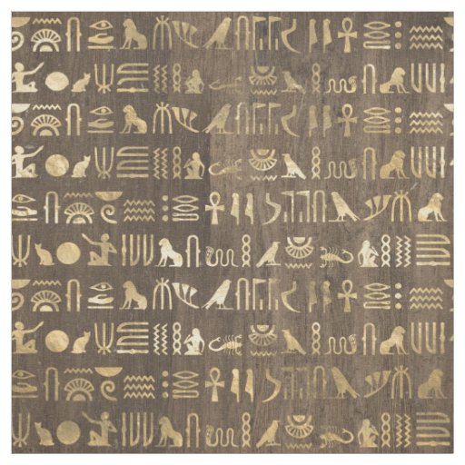 Gold Egyptian Hieroglyphs on Brown Fabric