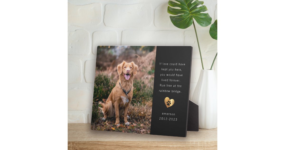 Gold Foil Black Photo Pet Memorial Plaque | Zazzle