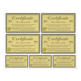 letterhead certificate Certificate Letterhead Zazzle