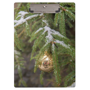 Gold Glass Christmas Ornament On Evergreen Tree Clipboard