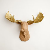Gold Glitter Antlers on Tan Faux Moose Head (Front)