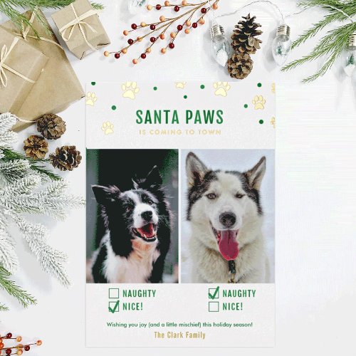 Gold  Green Naughty or Nice Two Dog Photo Foil Holiday Card