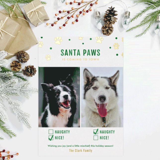 Gold & Green Naughty or Nice Two Dog Photo Foil Holiday Card (Creator Uploaded)
