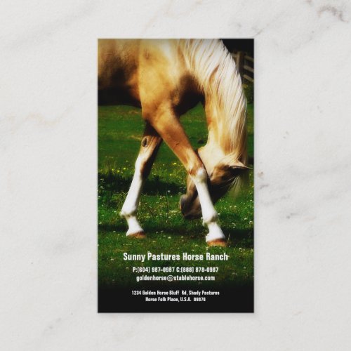 Gold Horse Riding Stables Boarding or Farrier Business Card