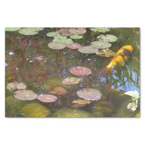 Gold Koi in Lily pond Tissue Paper