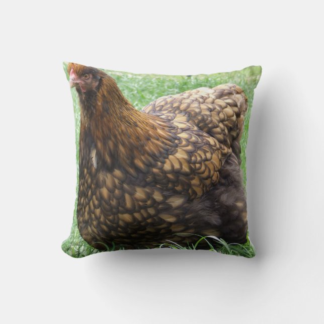 Gold Laced Orpington Cushion, chicken, hen, rooste Throw Pillow (Front)