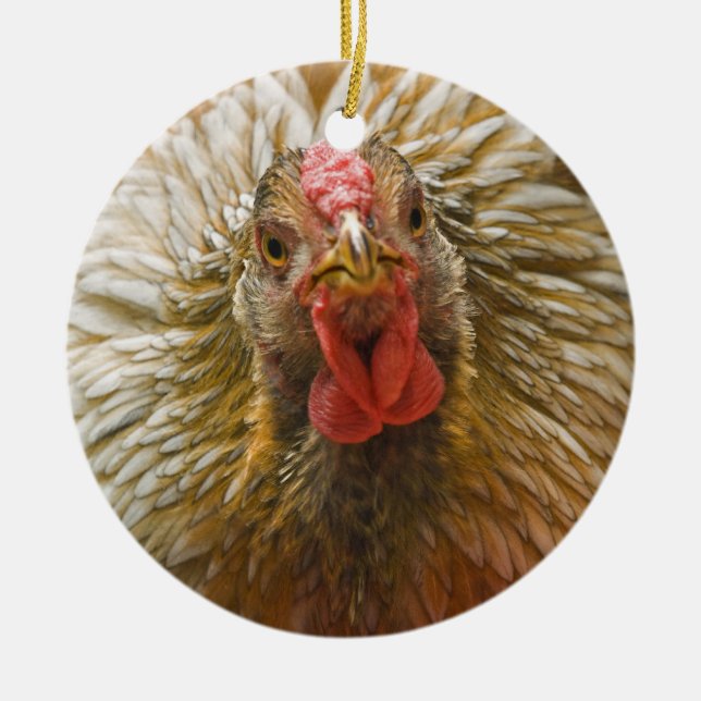 Gold-Laced Wyandotte Chicken Ceramic Ornament (Front)