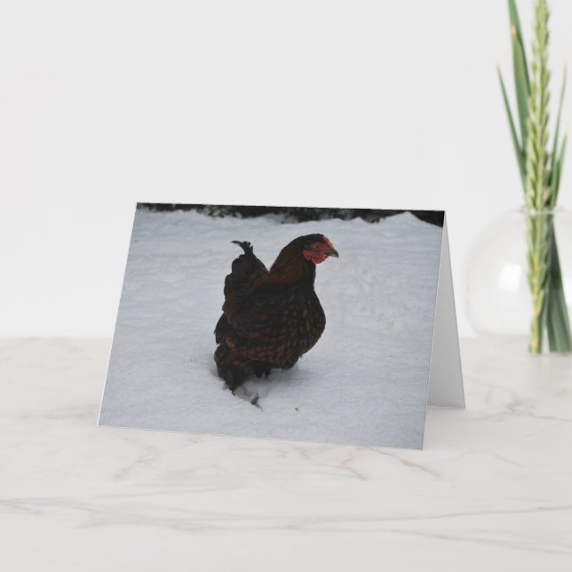 Gold laced Wyandotte trekking through Snow! Holiday Card (Front)