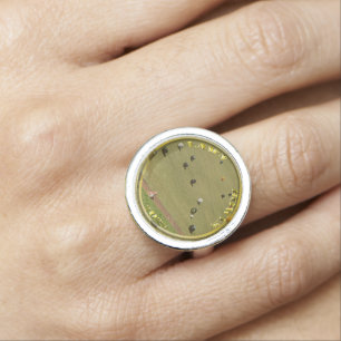 Gold Lawn Bowls 2023 Designed Coin, Costume Ring
