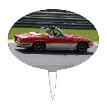 Gold Leaf Team Lotus Elan
