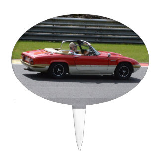 Gold Leaf Team Lotus Elan Cake Topper