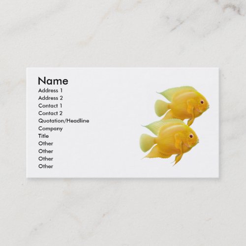 Gold Lemon Severum Cichlids Profile Card