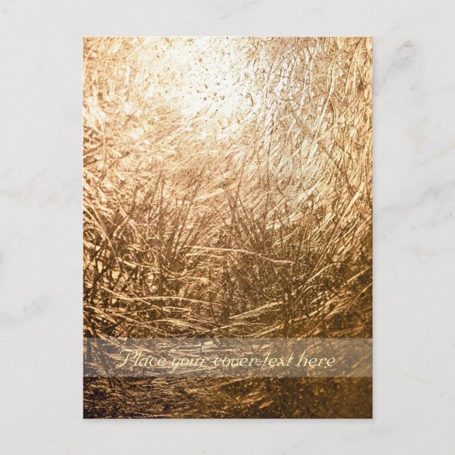 Gold Light 001 Postcard (Front)