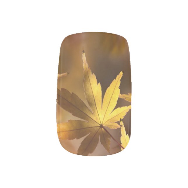 Gold Maple Leaf Minx Nail Art (Left Thumb)