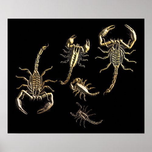 Gold Metal Abstract Scorpions Art Poster