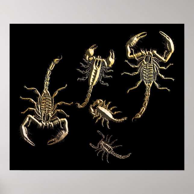 Gold Metal Abstract Scorpions Art Poster (Front)