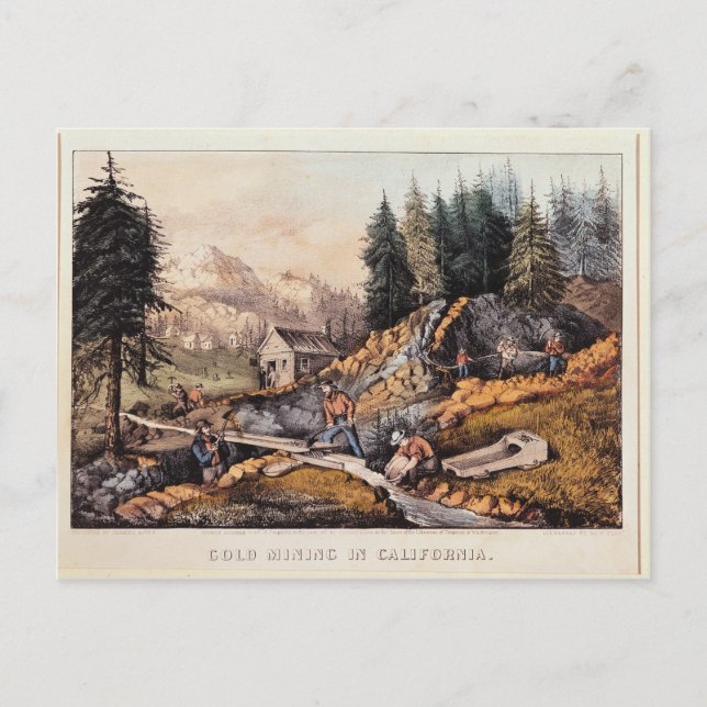 Gold Mining in California Postcard (Front)