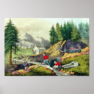 Gold Mining in California Poster