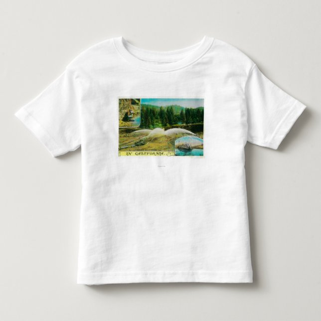 Gold Mining in California StateState Toddler T-shirt (Front)