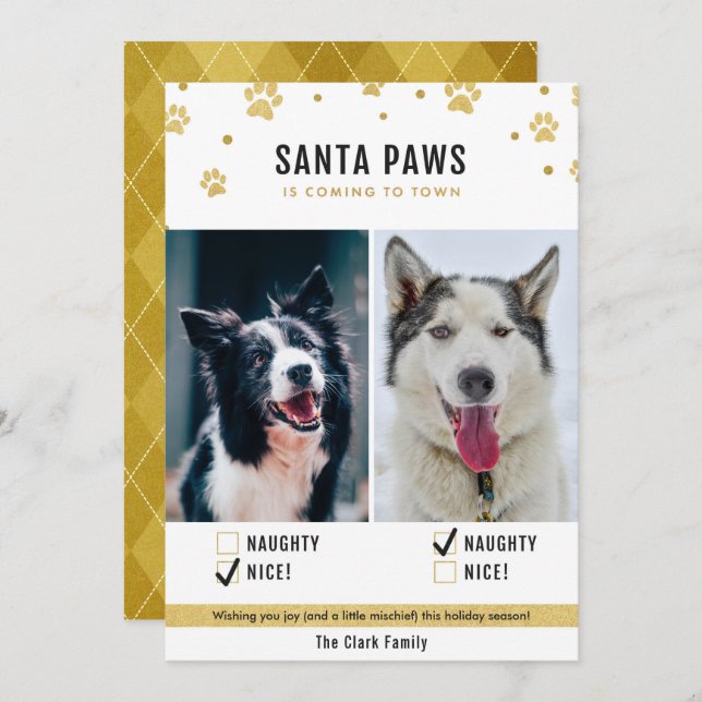 Gold Naughty or Nice Two Dog Christmas Photo Card (Front/Back)
