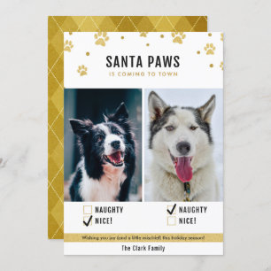 Gold Naughty or Nice Two Dog Christmas Photo Card