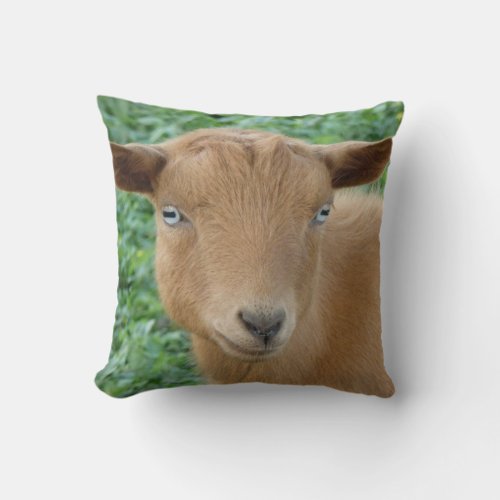 Gold Nigerian Dwarf Goat with Blue Eyes Throw Pillow