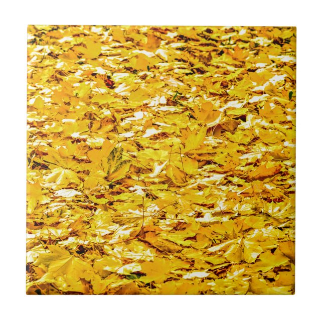 Gold Of Autumn Ceramic Tile (Front)