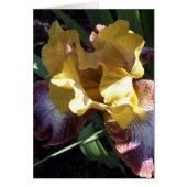 Gold on Purple Iris Card (Front)