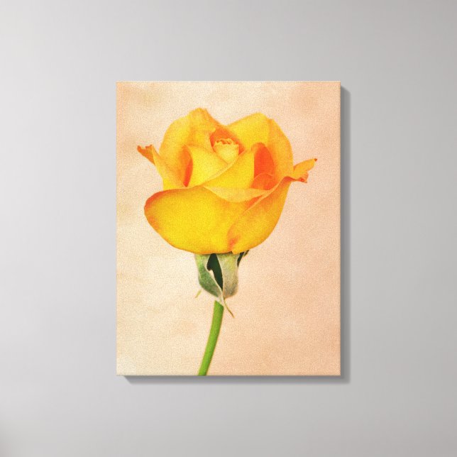 Gold Orange Single Rose Flower Art Canvas Print (Front)