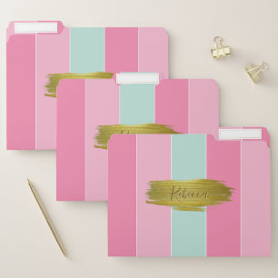 Gold Paint Stroke Colorful Stripes - File Folder
