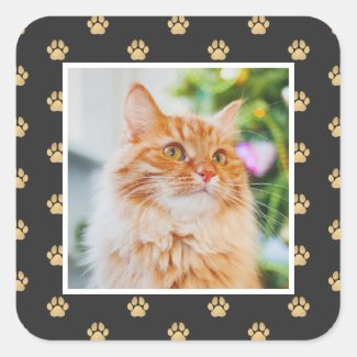 Gold Pet Cat Paw Prints Pattern Holiday Photo Square Sticker