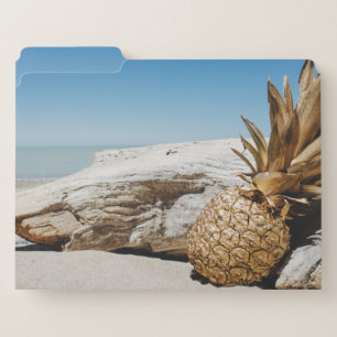 Gold pineapple on the beach file folder