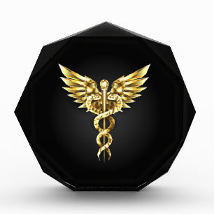 Gold Polygonal Symbol Caduceus Acrylic Award