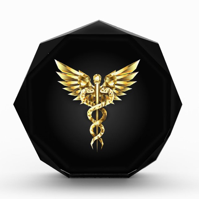 Gold Polygonal Symbol Caduceus Acrylic Award (Front)