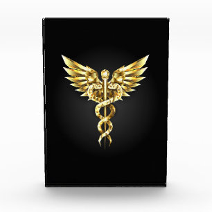 Gold Polygonal Symbol Caduceus Acrylic Award