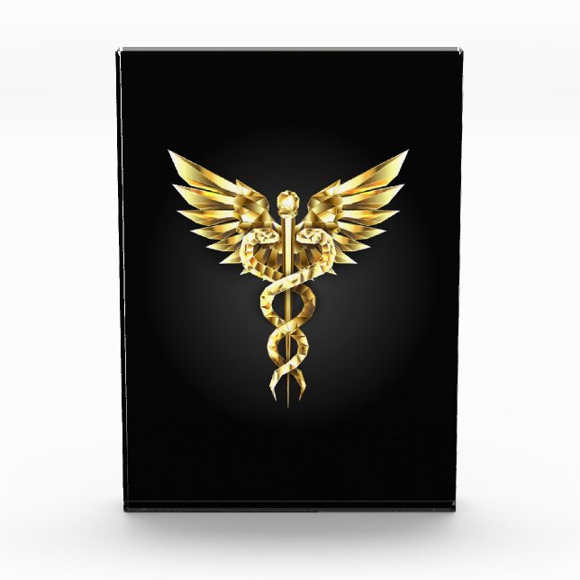 Gold Polygonal Symbol Caduceus Acrylic Award (Front)