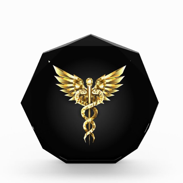 Gold Polygonal Symbol Caduceus Acrylic Award (Front)