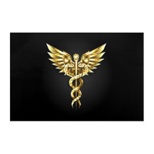 Gold Polygonal Symbol Caduceus Acrylic Print